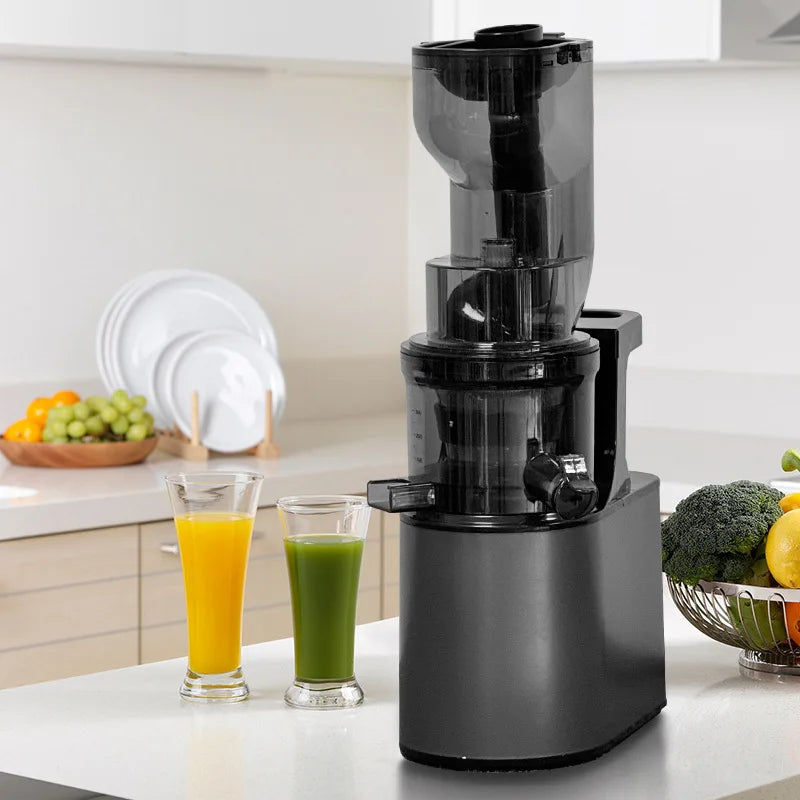 VitaMixx™ 2L Stainless Steel Slow Juicer