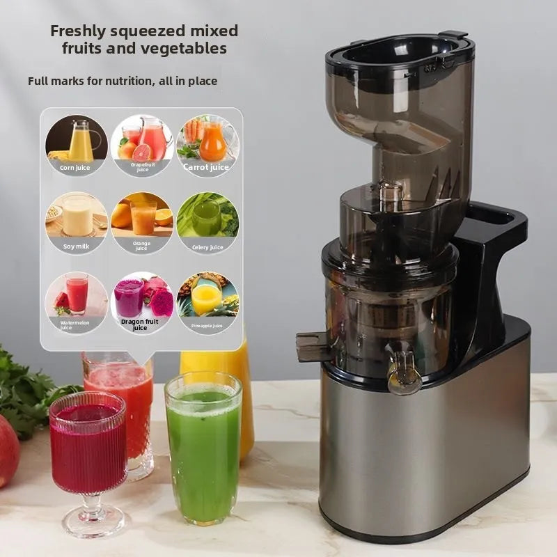 VitaMixx™ 2L Stainless Steel Slow Juicer