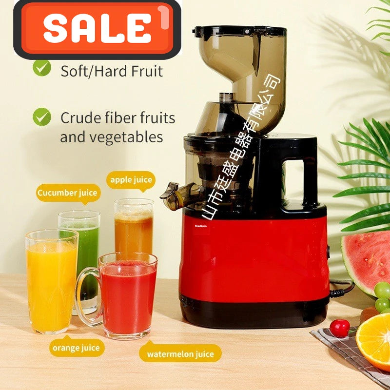VitaMixx™ 2L Stainless Steel Slow Juicer