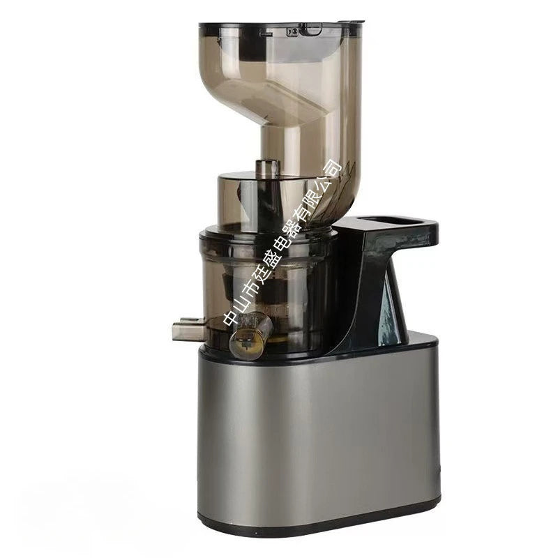 VitaMixx™ 2L Stainless Steel Slow Juicer