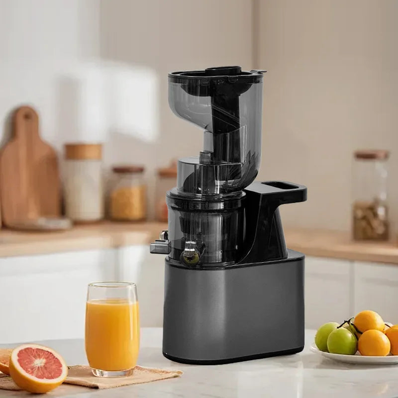 VitaMixx™ 2L Stainless Steel Slow Juicer