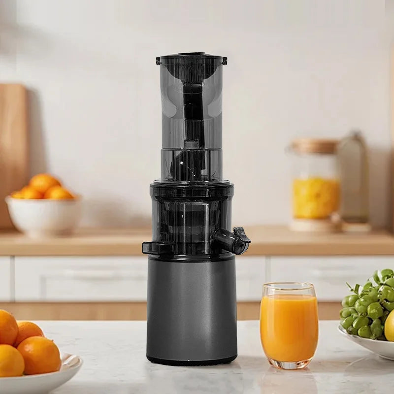 VitaMixx™ 2L Stainless Steel Slow Juicer