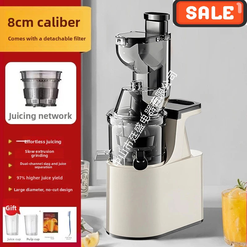 VitaMixx™ 2L Stainless Steel Slow Juicer
